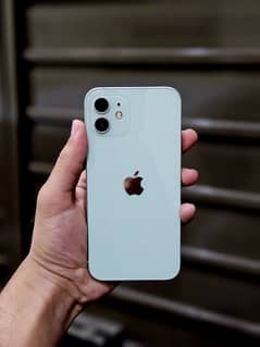 iPhone 12 Sea Green colour