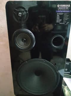 Japani Speaker 12 inch two