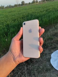 iPhone  8 good condition