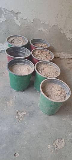 used plants pots for Sale