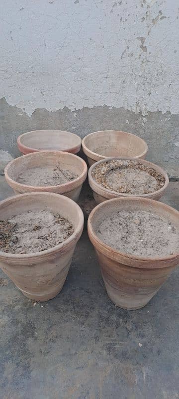 used plants pots for Sale 3