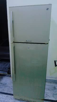 Pel Arctic refrigerator