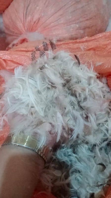 Duck Down And Feather filling Sofa , cushion and Pillows 2