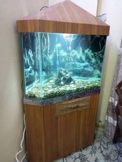 diamond shape aquarium