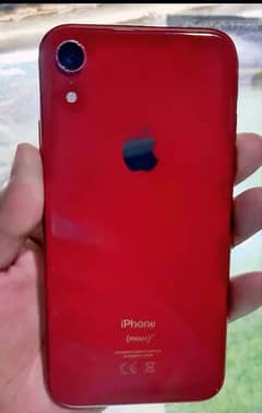 iphone XR 2020