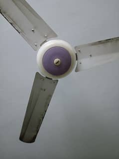 ceiling fan for sale