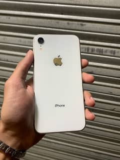 IPHONE XR NONPTA