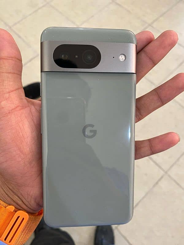 goggle pixel 8 pta proof 0