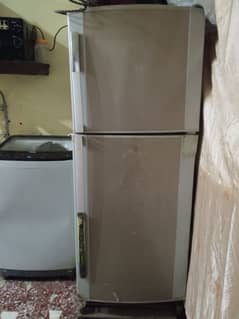 dawlance refrigerator