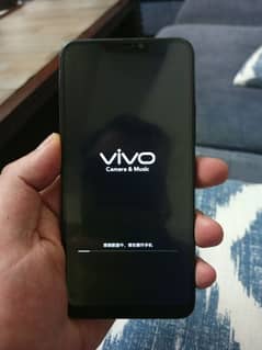 Vivo