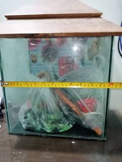 Fish aquarium