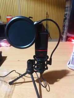 Seyfert Mic For Studio / Recording / Podcast