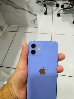 iPhone 12 PTA approved