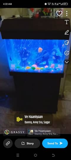 2fit aquarium for sell