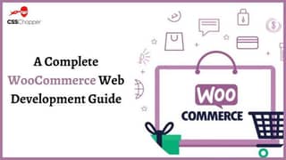 web design or woo commerce store