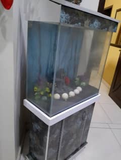 fish aquarium 2 by 2 feet