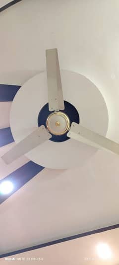 Roof fan