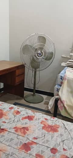 Pedistal Fan for Sale