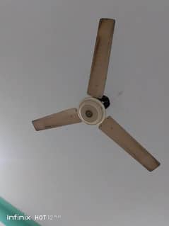 gfc ceiling  fan used but condition 10/8  no any fault