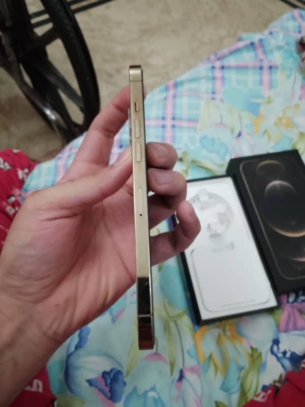 iPhone 12 Pro max 5