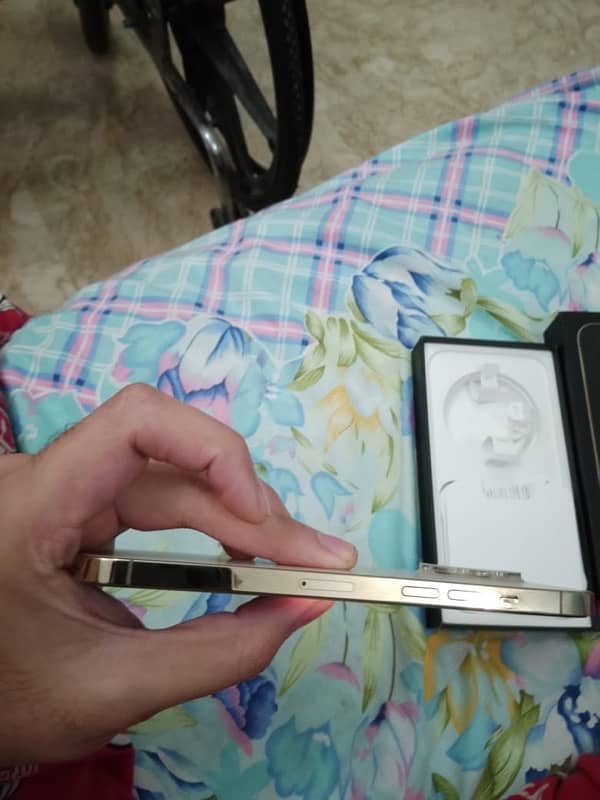 iPhone 12 Pro max 6