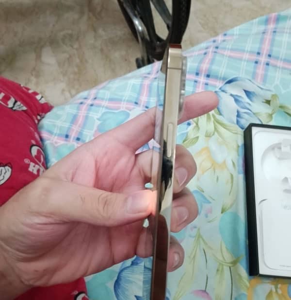 iPhone 12 Pro max 10