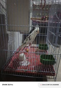 final price 5700 with cage and box all