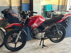 outclass condition Yamaha YbR G