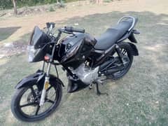 YAMAHA YBR 125 23 model 10/10 ( 1200km drive only)