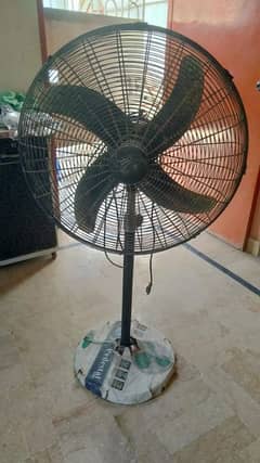 pak fan pedestal fan