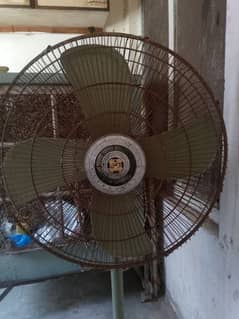 fan for sale