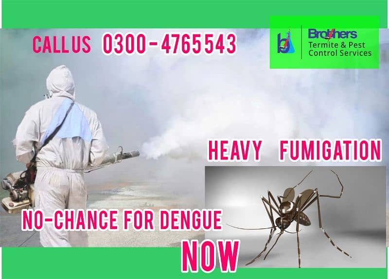 dengue spray/termite/pest control/Deemak control service /cockroach 2