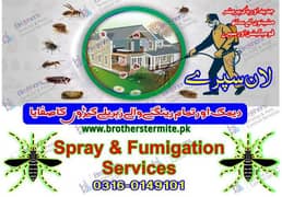 Fumigation/termite/pest