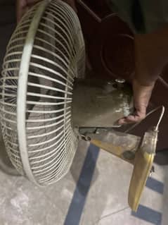 royal wall fan