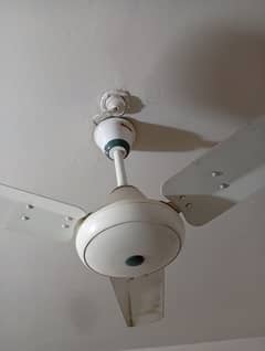 Energy Saver Fan 50watt