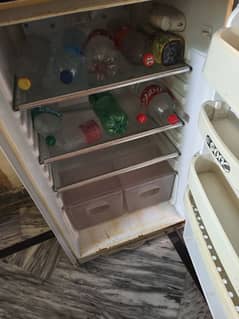 Orient fridge