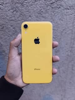 IPHONE XR nonpta All ok Sim working