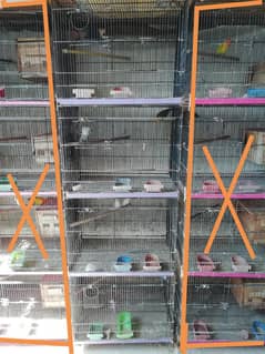 Cage for sale