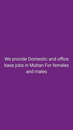 Domestic jobs for females