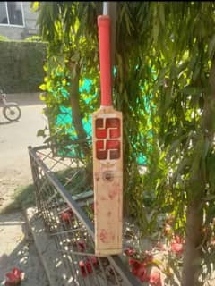 SS hard cricket bat