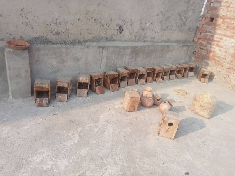 Cage for sale and boxes For sale 5