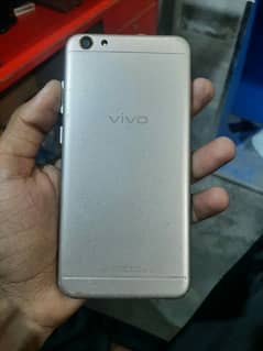 vivo