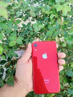 IPHONE XR 128GB JV.