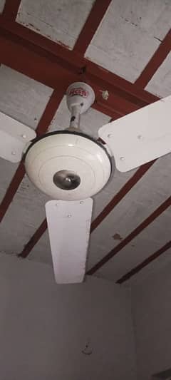 ceiling fan in genuine winding good condition