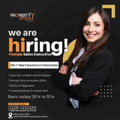 sales executive