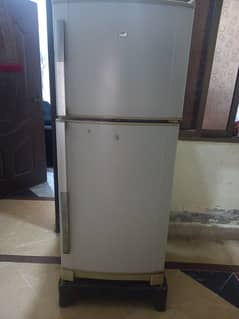 Dulance fridge  Medium size