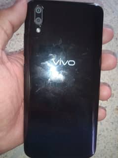 vivo