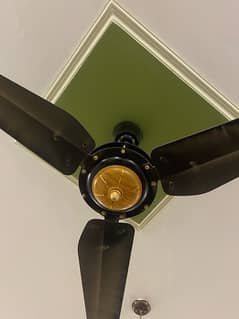 Pak Fan Fancy celling Fan