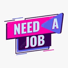 Professional Data Entry Operator Available for computer opretor job