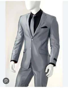 Silver Gray Two Piece Suit